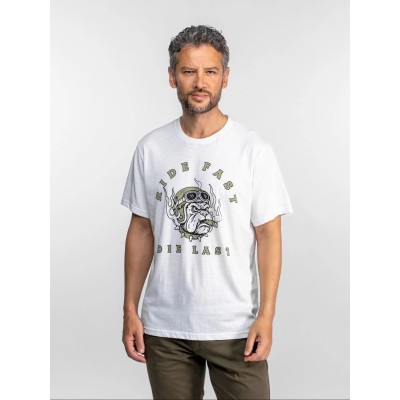 Teeshirt bulldog Daytona-73 Blanc