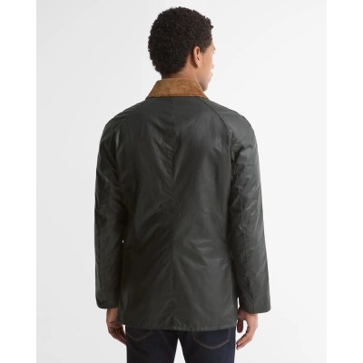 Veste Ashby FESTIVE BARBOUR sage