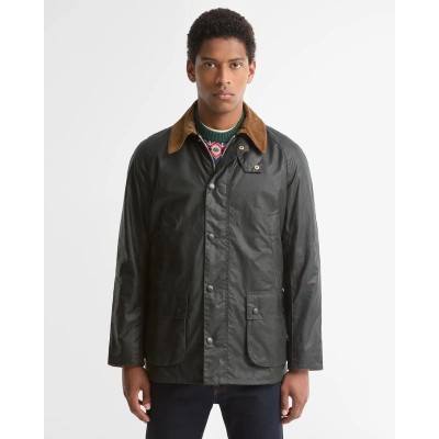 Veste Ashby FESTIVE BARBOUR sage